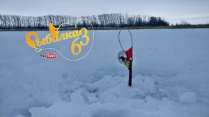 Щука зимой на жерлицы, Подлещик на мотыля, Зимняя рыбалка