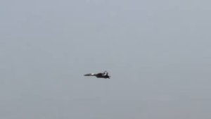 RC freewing SU-35（2）