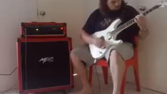 T64RS mini 1/2 stack + Schecter Elite + SD invader. (metal)