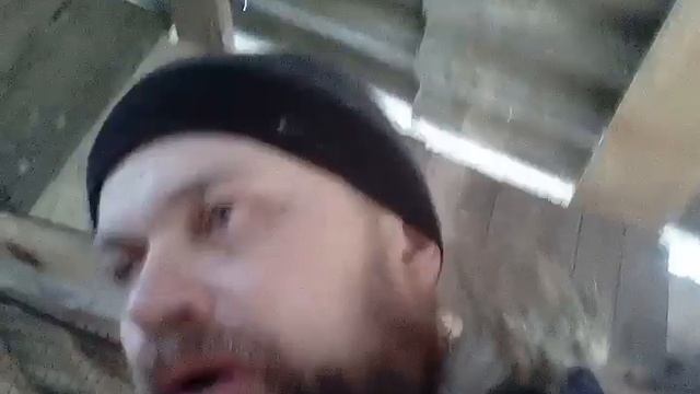 Какое сено лучше? смотреть онлайн