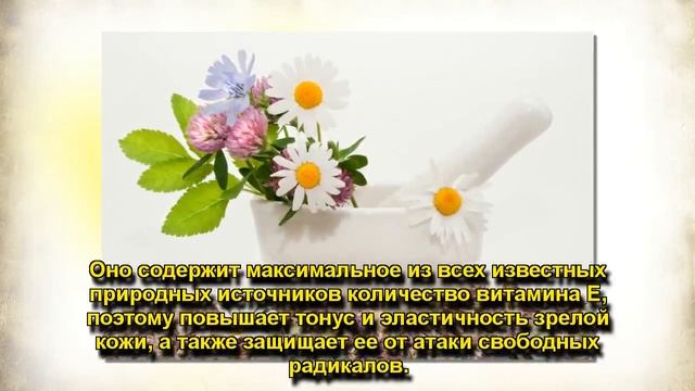 Фитокосметика