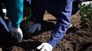 школа- интернат ст ца Крыловская.mp4