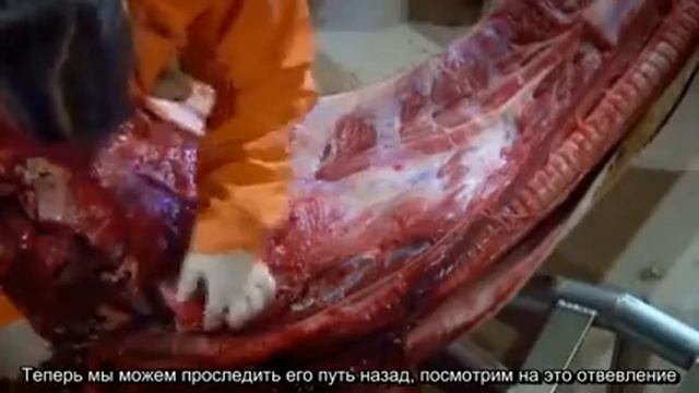 In Search of Truth смотреть онлайн