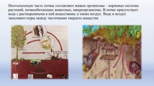 7 класс, 3 четверть География, Почва их состав, 1 урок