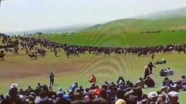 Зариф палвон аз нохияи шахринав