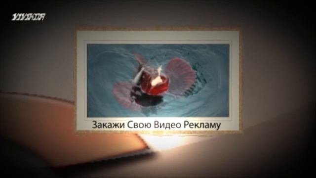 СКАЗКА ЛОЖЬ... или Золотая Рыбка смотреть онлайн