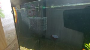 AQUAEL PAT mini после модернизации и немного о фильтрации в моих аквариумах.