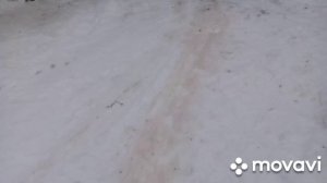 МТЗ-82.1. Кошели на задние колеса. Размер.