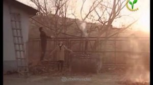 Qish Sonatasi filmidan - Sevgini eslab she'ri