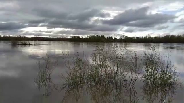 Река Ока,30 мая 2021 г.Иркутская область Зиминский район,с.баргадай. смотреть онлайн