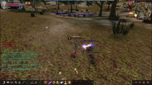 Карос онлайн: паладин-крит ( почему и за счёт чего стоит им играть)