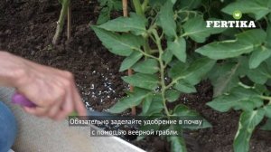 Фертика Универсал-2 Сад и огород Весна-Лето