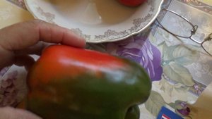 Сладкий перец, Ред Найт, сбор урожая.