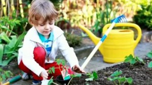 Релаксация "Волшебный сад"