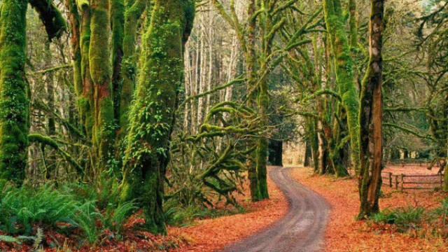 Осенний калейдоскоп смотреть онлайн