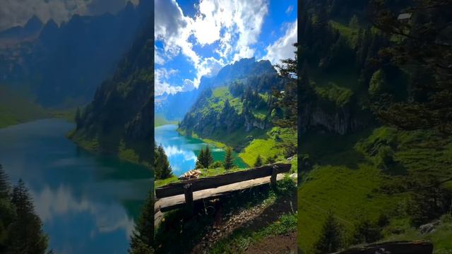 cartoon смотреть онлайн