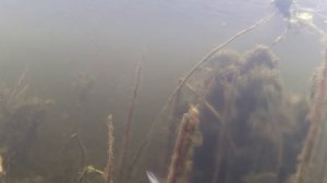 Подводная охота 2015. Охота в кайф ( сентябрь).