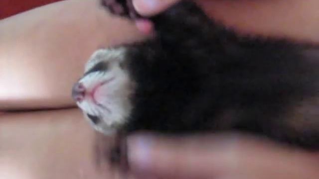 хоря спит как убитая смотреть онлайн