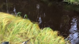 КАЛЯН86 ,Север , Рыбалка )