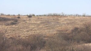 Колядовка. " Включите пожалуйста снег"