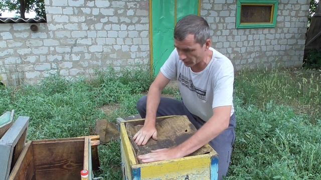 Как установить ловушки для поимки роев . смотреть онлайн