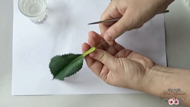 Листья гортензии из фоамирана.