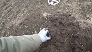 Шурф дома мельника финал и коп на чешуевом месте!
