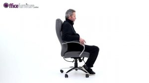 Posture Executive Leather Office Chair Features and User Guide