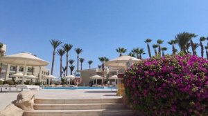 ОТПУСК В ЕГИПТЕ. ОТЕЛЬ BEACH ALBATROS RESORT 4*, HURGHADA, ИЮНЬ 2022  #отпуск2022 #hurghada