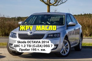 МАСЛОЖОР Skoda OCTAVIA 2014 Двигатель (2013 год) 1.2 TSI (CJZA) EA211 в заводе