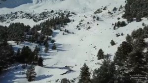 Даргинская песня Талих1