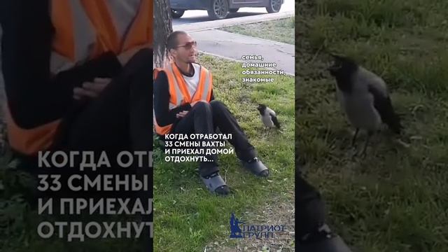 6 июля 2024 г.