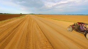 Самодельный баги