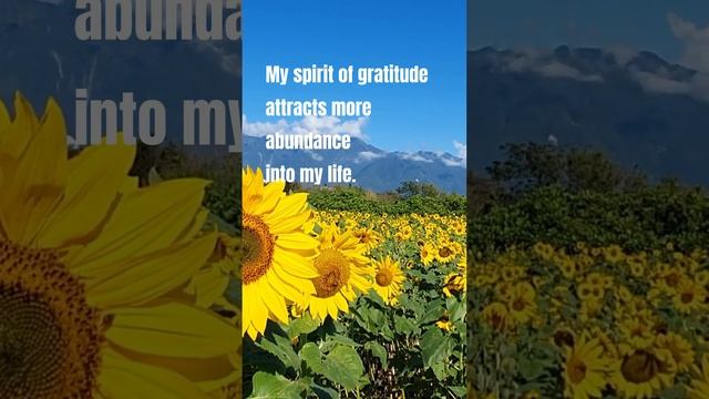 Foster Gratitude, Enjoy Abundance ??