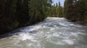 Горные реки Алтая