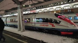 Сапсан отправляется с Московского вокзала г. Санкт-Петербург