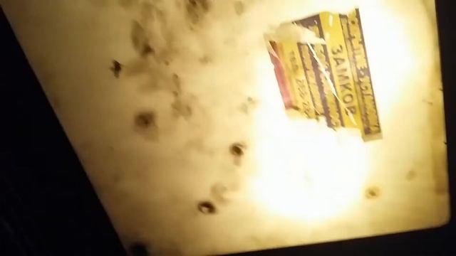 Подъезд по адресу: микрорайон Заречный, Верх-Исетский район, ул. Бебеля, 126 под. 2 смотреть онлайн