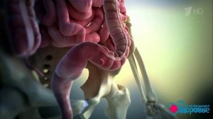 Дивертикулез кишечника. Здоровье. Фрагмент выпуска от 26.03.2017