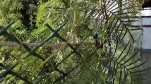 Беседка 6х4 из металла в готовом варианте.