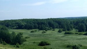 3 июня- АЛЁНКИН ДЕНЬ.Секрет для женщин.Не надевайте много одежды.Приметы.Поверья.Обычаи