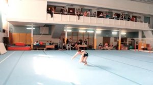 1 разряд по спортивной гимнастике