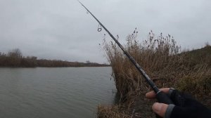 CRAZY FISH | ВЕТЕР НЕ ПОМЕХА | ВЕЧЕРНЯЯ РЫБАЛКА