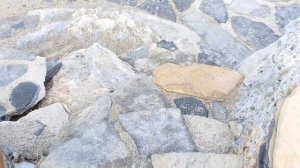 Pine Bay Holiday Resort - 6am early morning views/walk when it's quiet