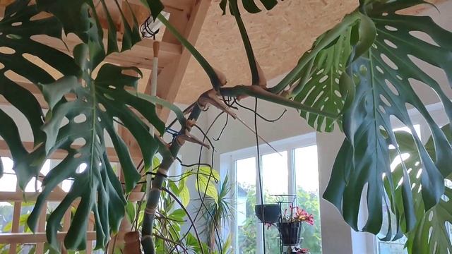 Жизнь в деревне///Будний день октября/// смотреть онлайн