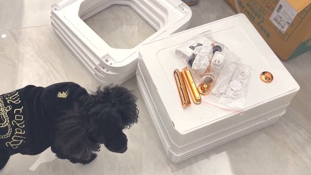 Cute VLOG #48?|Организация пространства?️|Лепим пельмени первый раз?|Новые витамины? смотреть онлайн