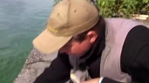 О рыбалке всерьез. Ловля на болонскую удочку в городе