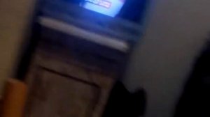 Мой хомяк дрочун...