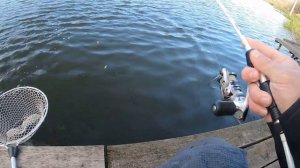 ФОРЕЛЬ где и как ее ловить на спиннинг. Рыбалка на платнике в РК Юрлово Подмосковье