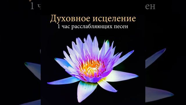 Дзен медитация смотреть онлайн