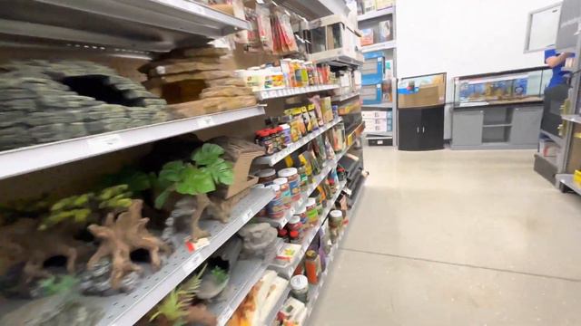 #579 США ВЛОГ | ЧТО ДЕЛАЮТ БЛИЗНЯШКИ В ГАРАЖЕ | ЗАКУПКА ТОВАРОВ ДЛЯ ЖИВОТНЫХ